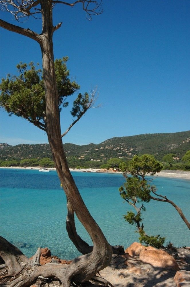 Aparthotel Complesso Residenziale Marina Di Pinarello Pinarellu Exteriér fotografie