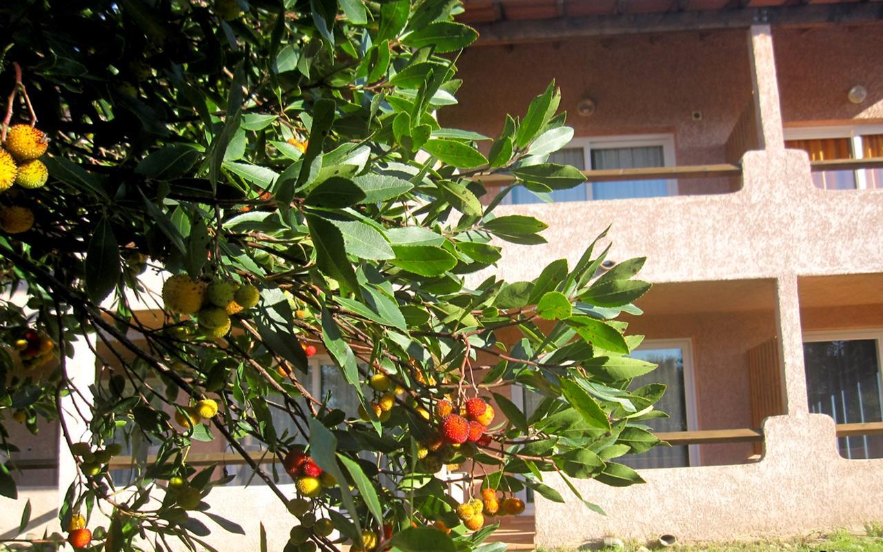 Aparthotel Complesso Residenziale Marina Di Pinarello Pinarellu Exteriér fotografie